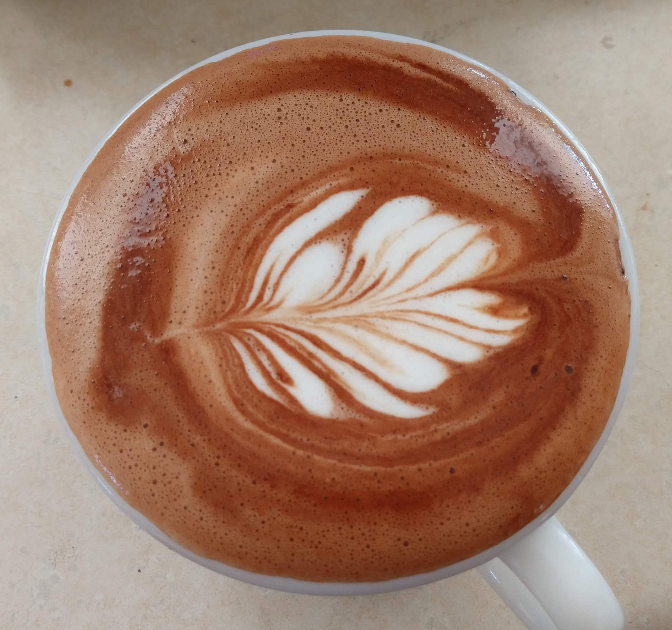 Top view of a latte with a leaf pattern in the foam.